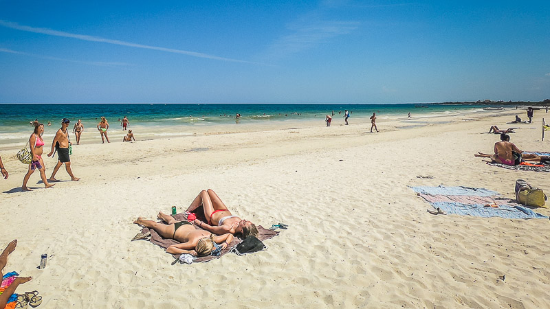 Lee más sobre el artículo Tulum – Scenic Beaches and Cenotes