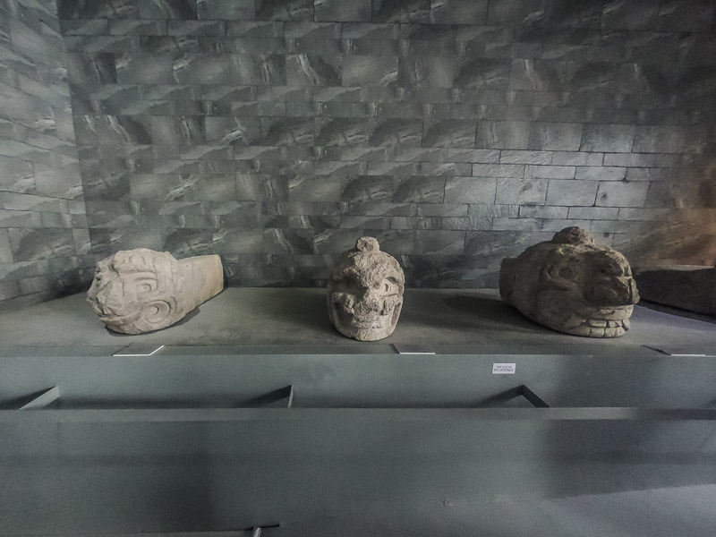 Recovered stone heads at the museum