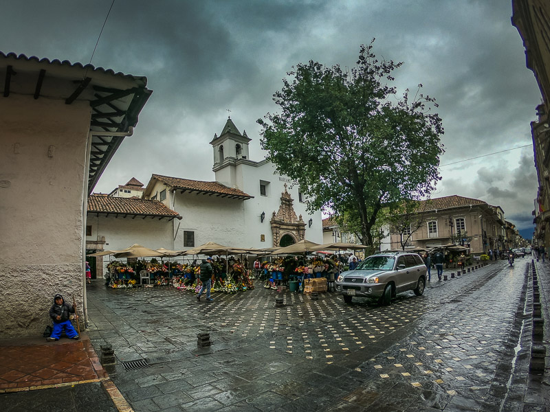 A flower market in the plaza