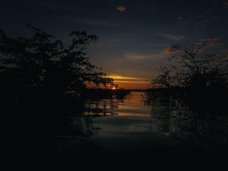 The sunset behind some trees at Laguna Grande