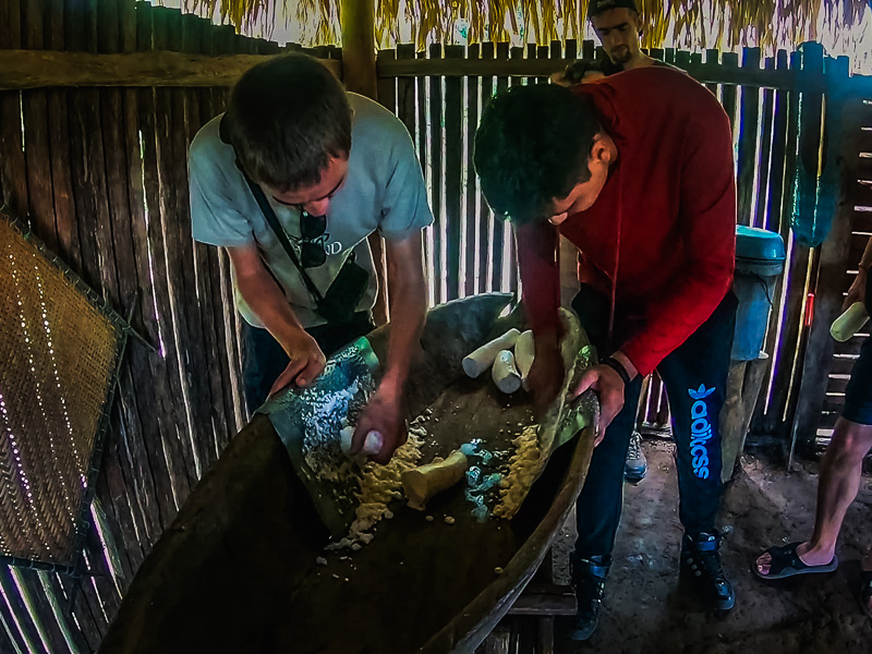 Grating the yuca to make flour