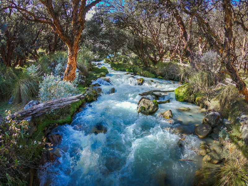 River at start of the trail