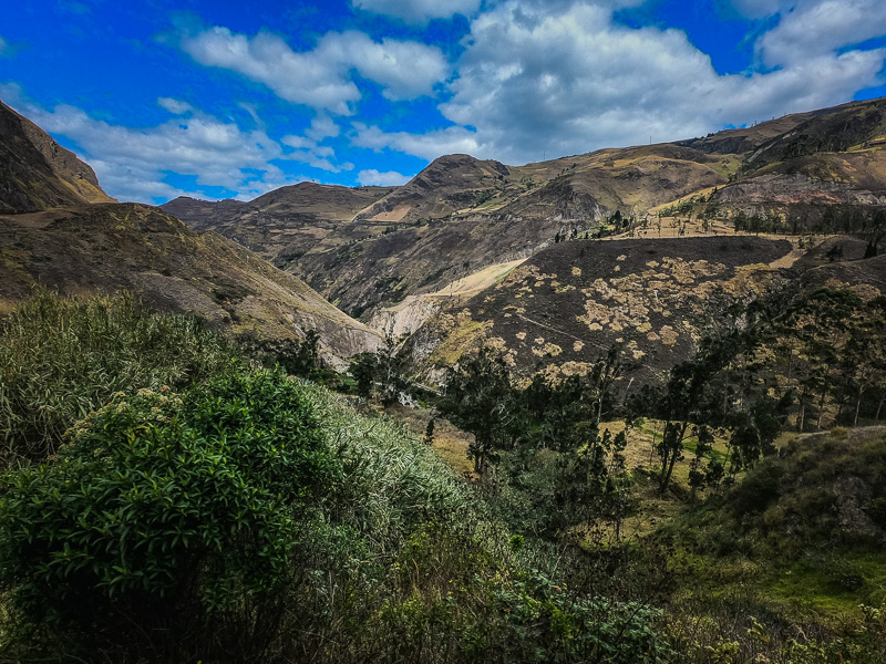 View of the Andean landscape