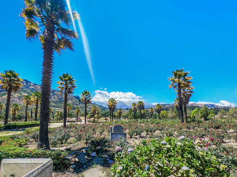 Gardens and tombstones marking people's homes