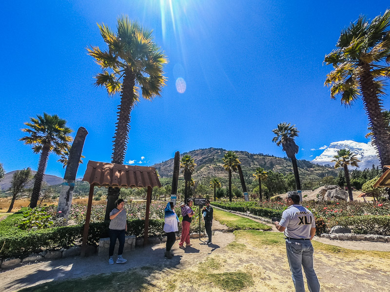 Gardens with the four surviving palm trees painted white