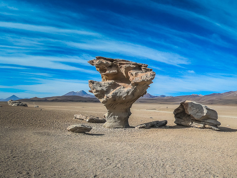 A rock tree in the Siloli Dessert