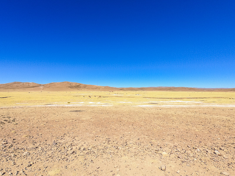 Landscape view of the plains