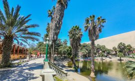 Ica and the Oasis at Huacachina