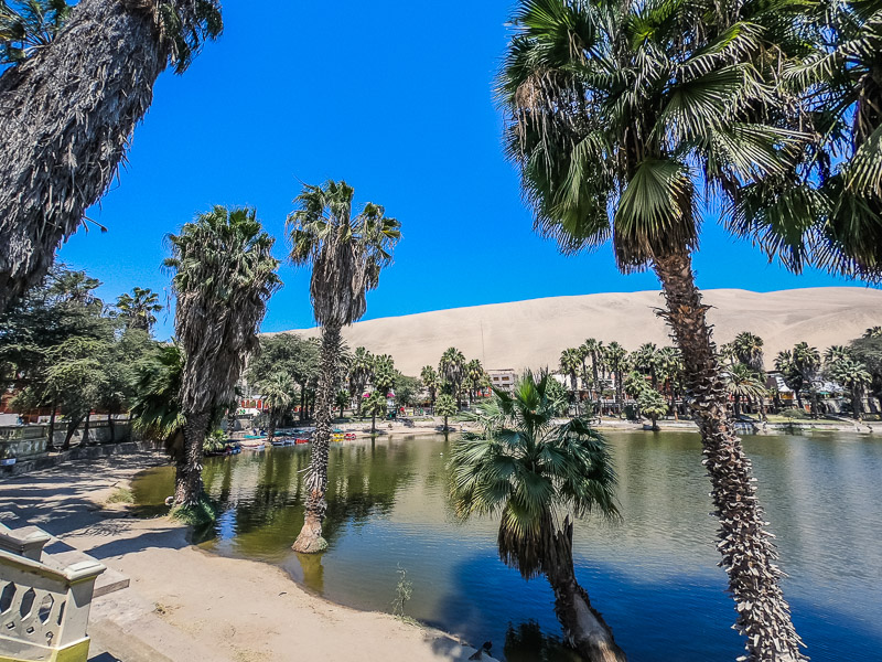 Walkway by the Oasis shore