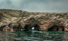 Paracas – Beach Town  and Wildlife