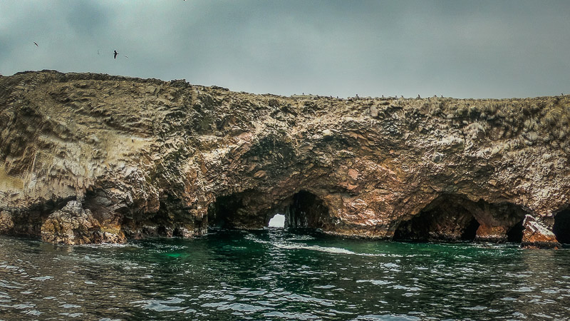 Lee más sobre el artículo Paracas – Beach Town  and Wildlife