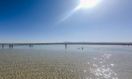 San Pedro de Atacama – Laguna Cejar