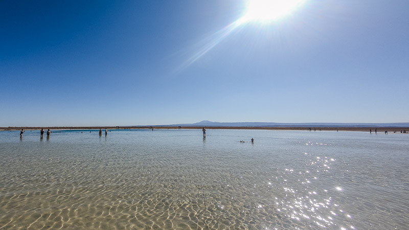 Read more about the article San Pedro de Atacama – Laguna Cejar