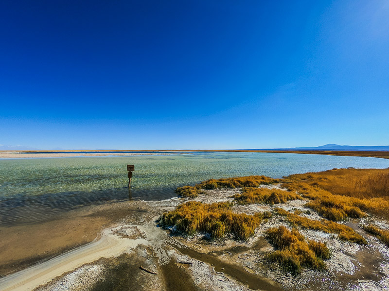 The lake from the viewpoint