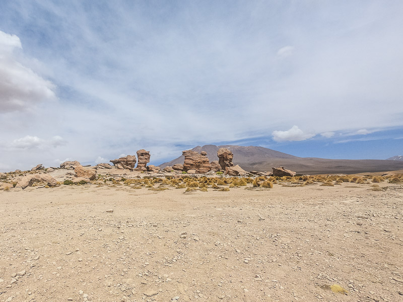 Scattered rocks behind the lake