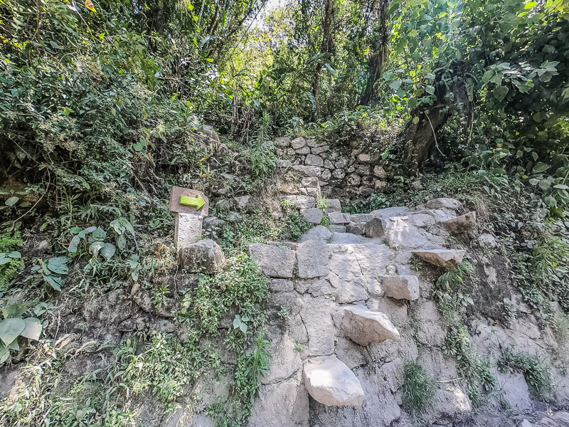 Inca steps on the trail