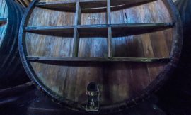 Mendoza – Bodegazo (Wine) Tour