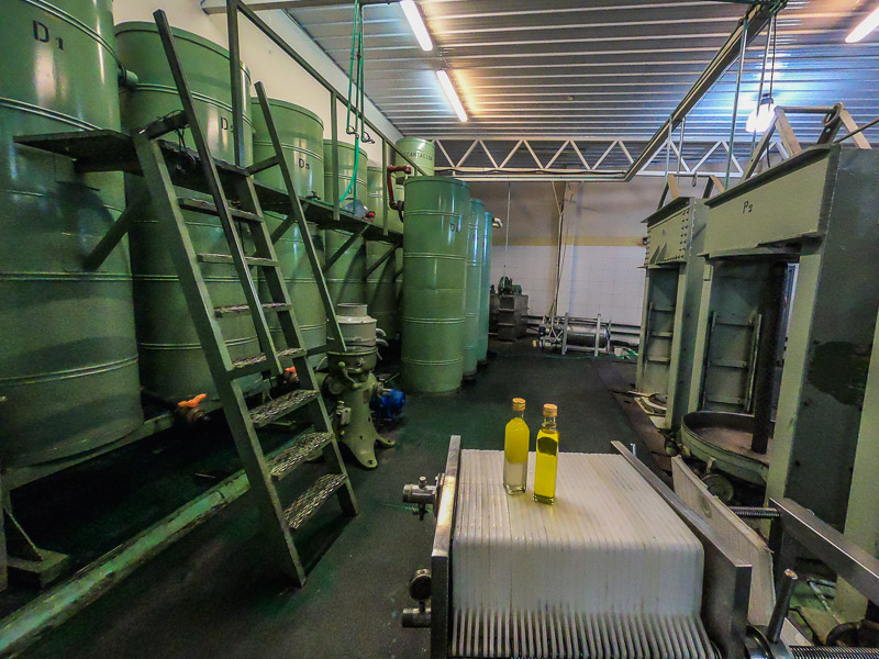 Storage barrels for the olive oil