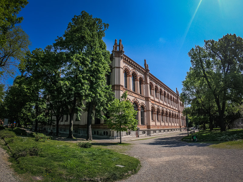 The Natural History Museum