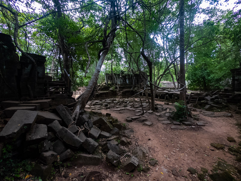 Temple ruins among the trees