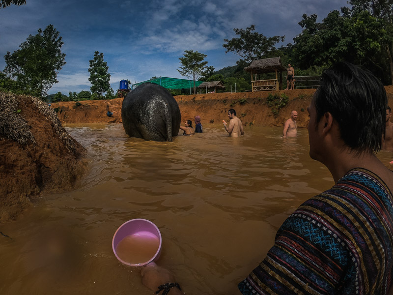 Washing the elephants at the second water pool