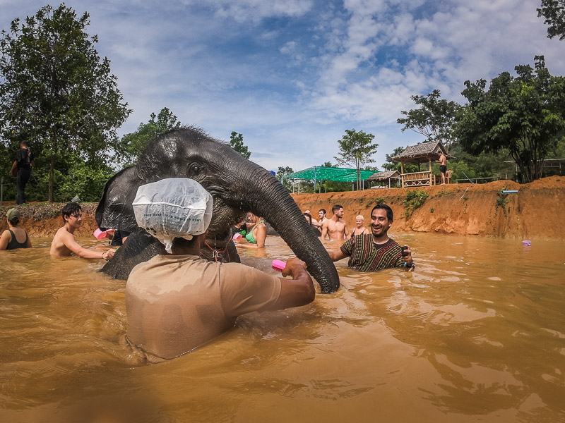 Washing the elephants at the second water pool