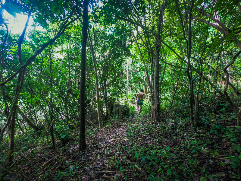 Trail through the forest to the viewpoints form the beach