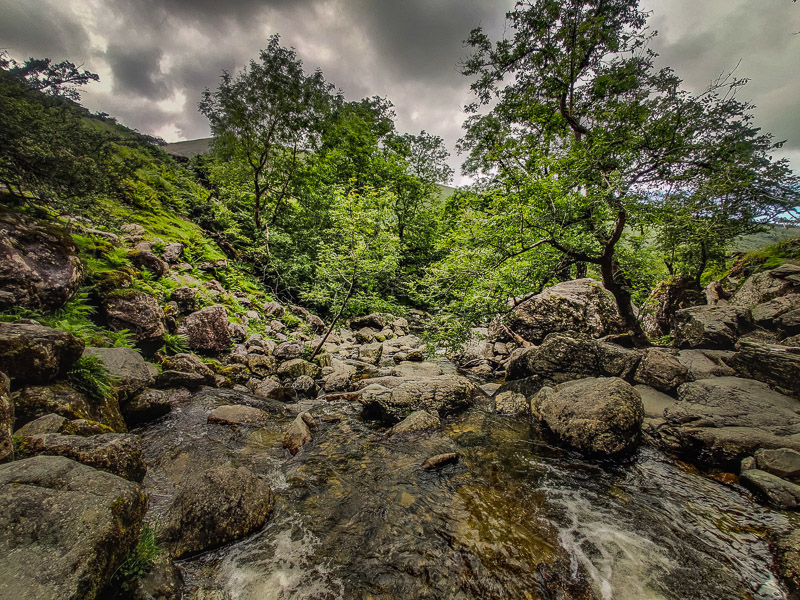 View of the rocky stream