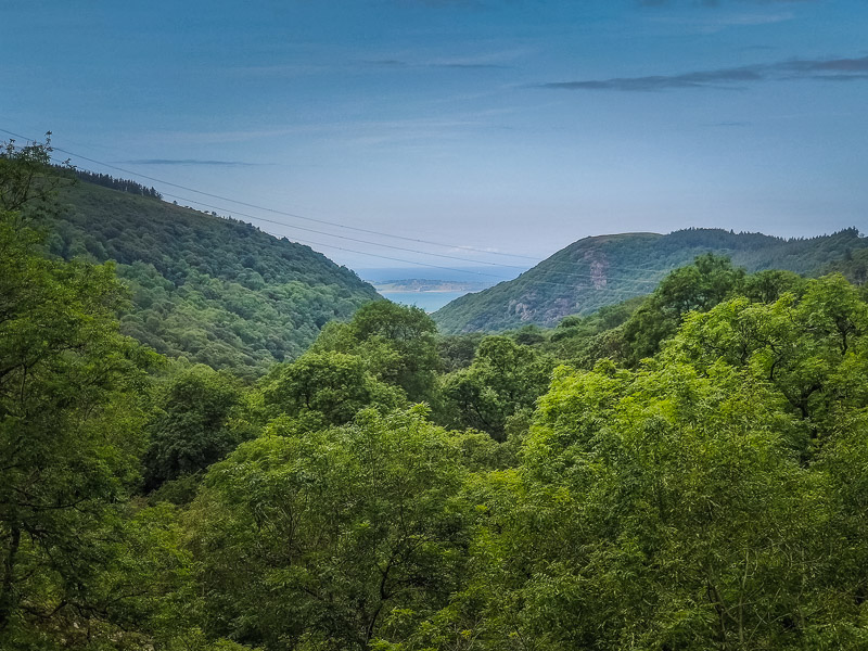 Landscape view of the national park