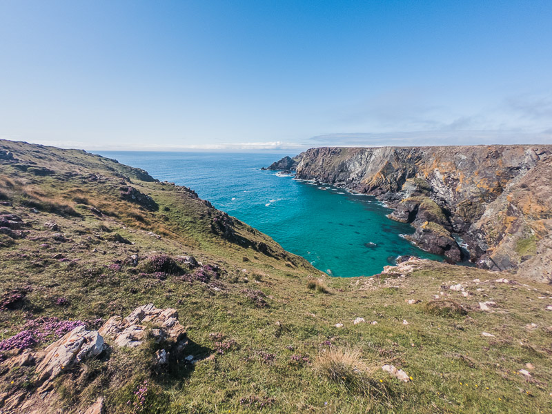 View of the shores along the trail