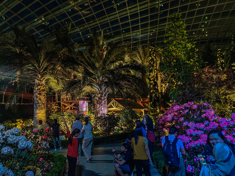 Some palm trees and flower arrangements