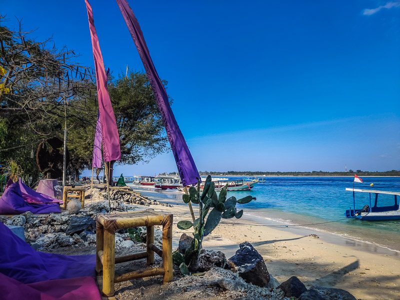 Having some lunch at a beach side restaurant