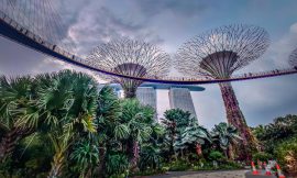 Singapore – Gardens and Rollercoasters