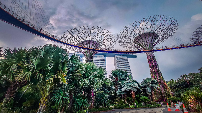 Read more about the article Singapore – Gardens and Rollercoasters