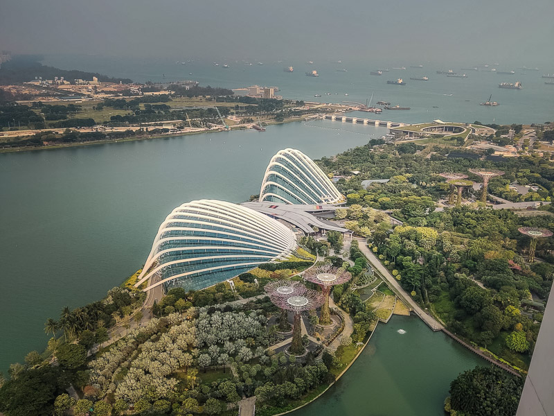 View of the Gardens by the Bay from the living room