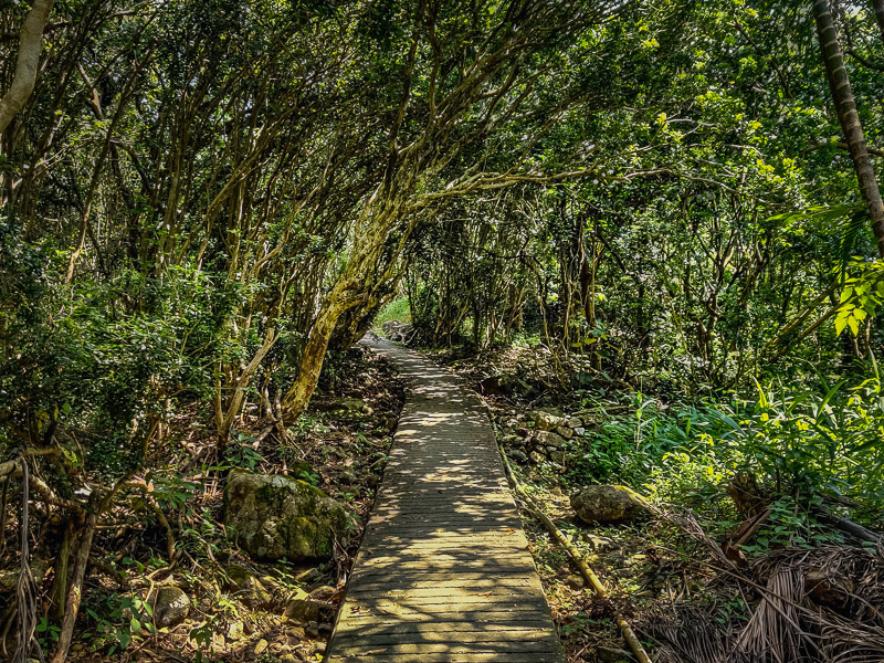 The start of the trail at Lion Rock Country Park