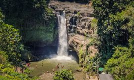 Bali – A Full Day Tour Around Ubud