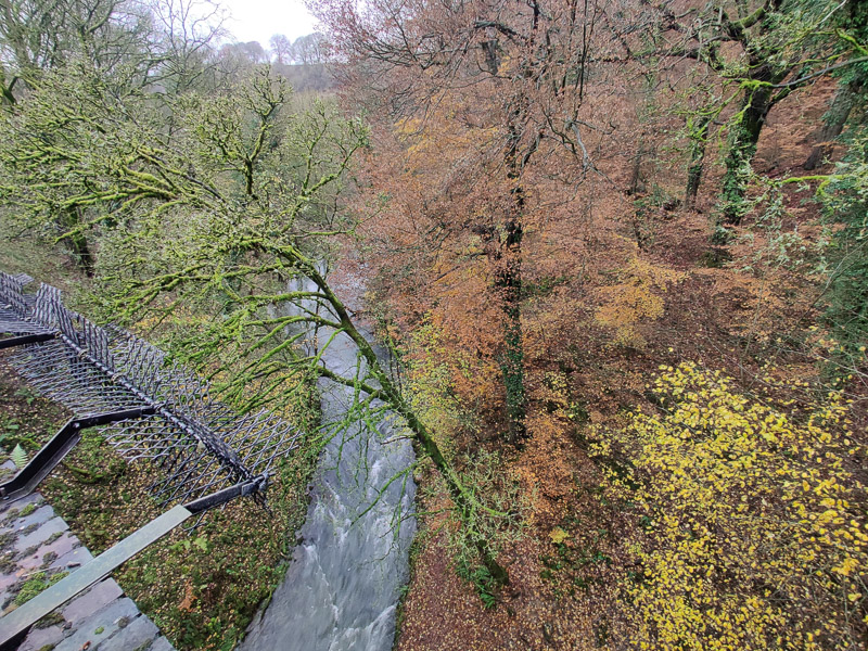 View of the river from the last bridge before the end of the trail