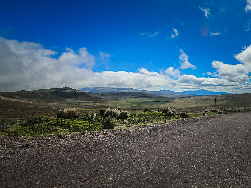 Landscape in the national park