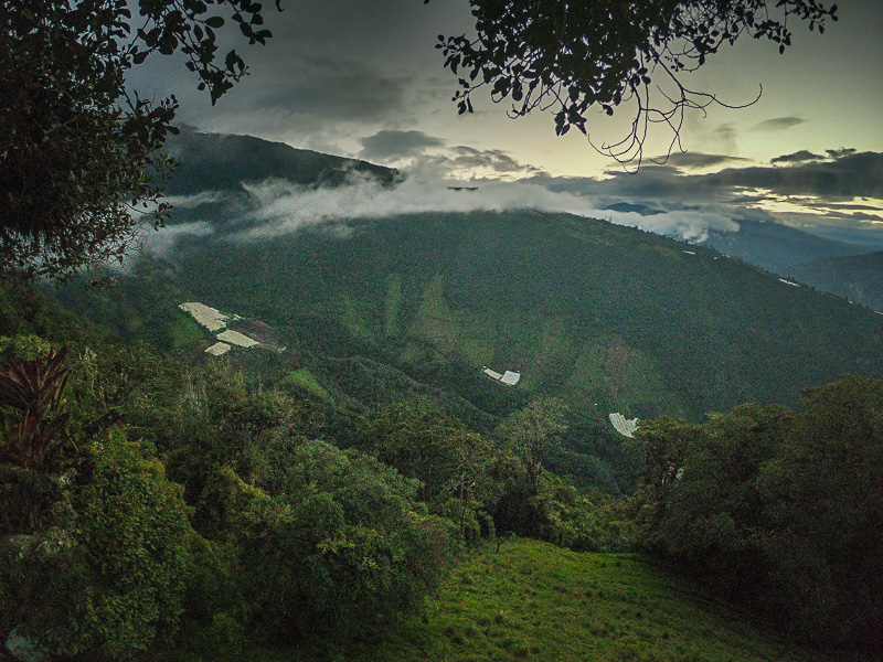 View of the landscape from the viewpoint