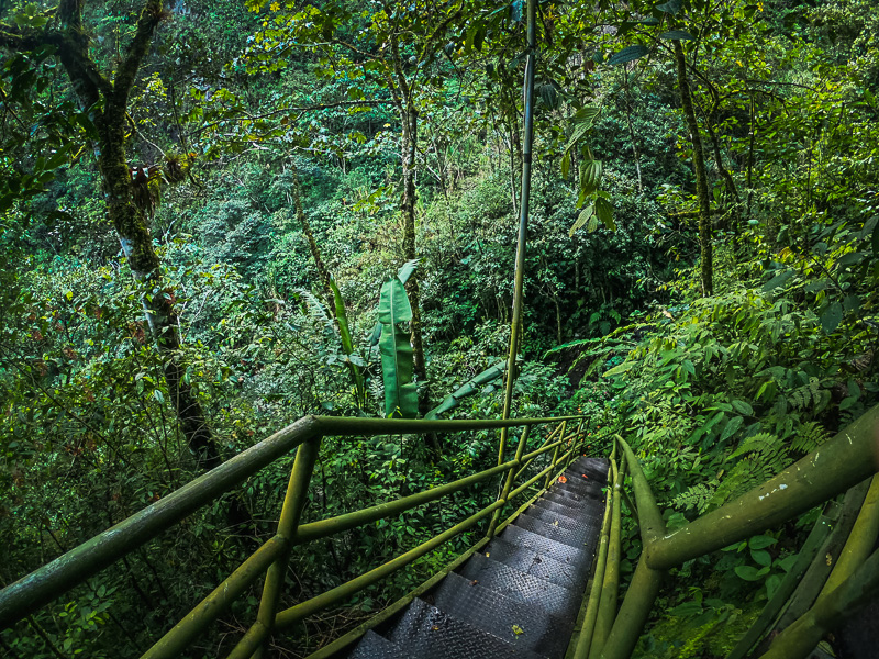 Steep steps down the mountain