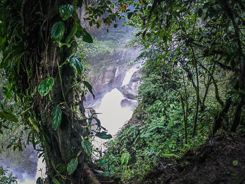 View of the river from the trail