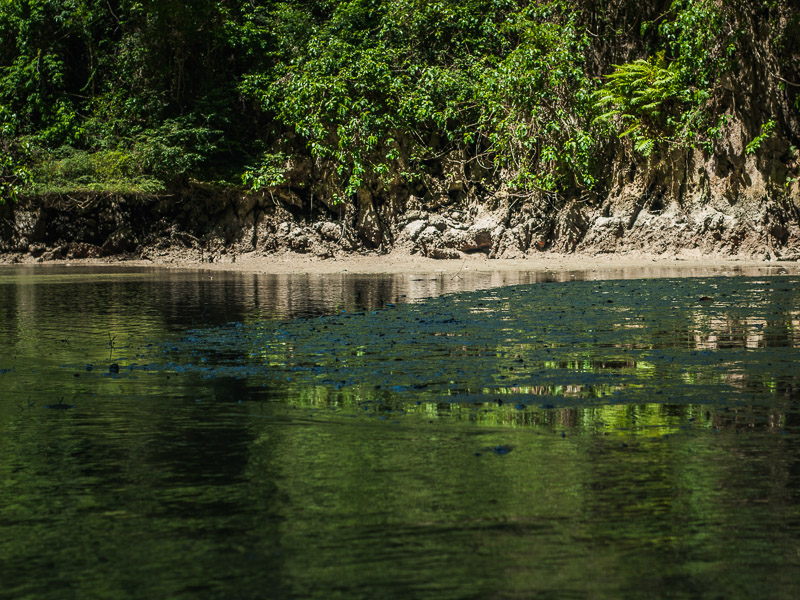 Mud islands in the low tide