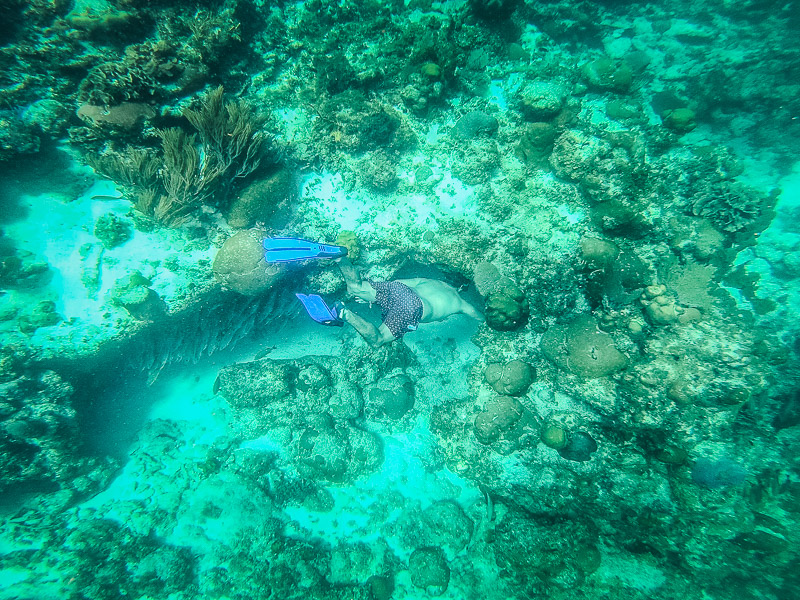 Diving into the cave