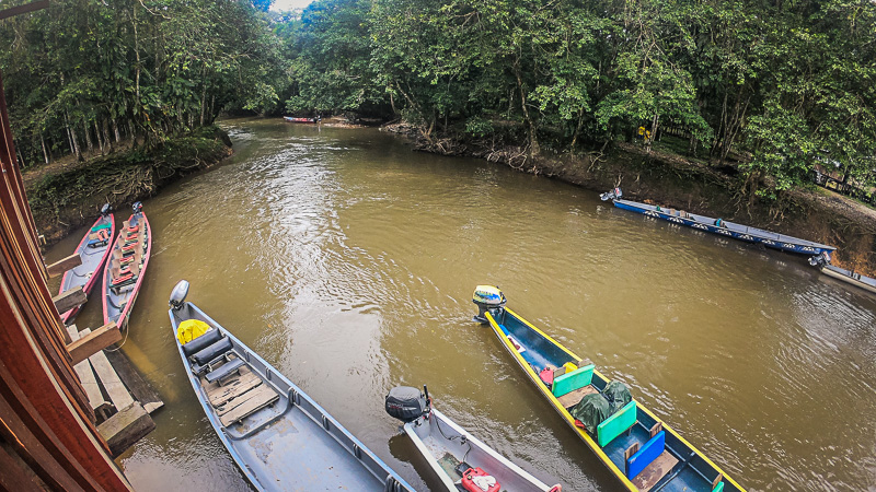 Lee más sobre el artículo Cuyabeno Wildlife Reserve – Day 1