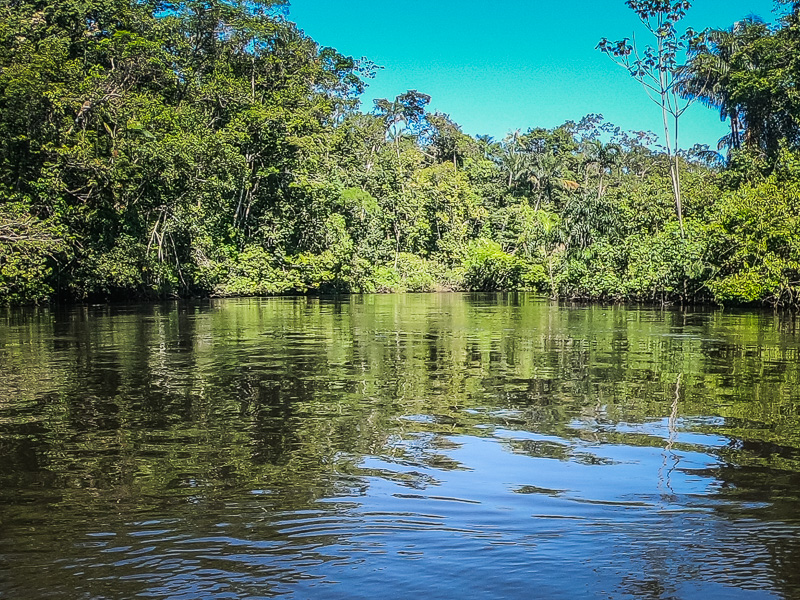 A quick stop in the river to look for pink dolphins