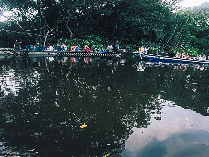 Motor canoes waiting for pink dolphins to pop up