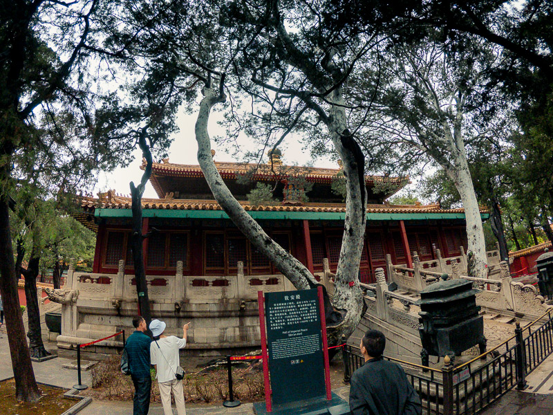 Residential buildings at the concubines