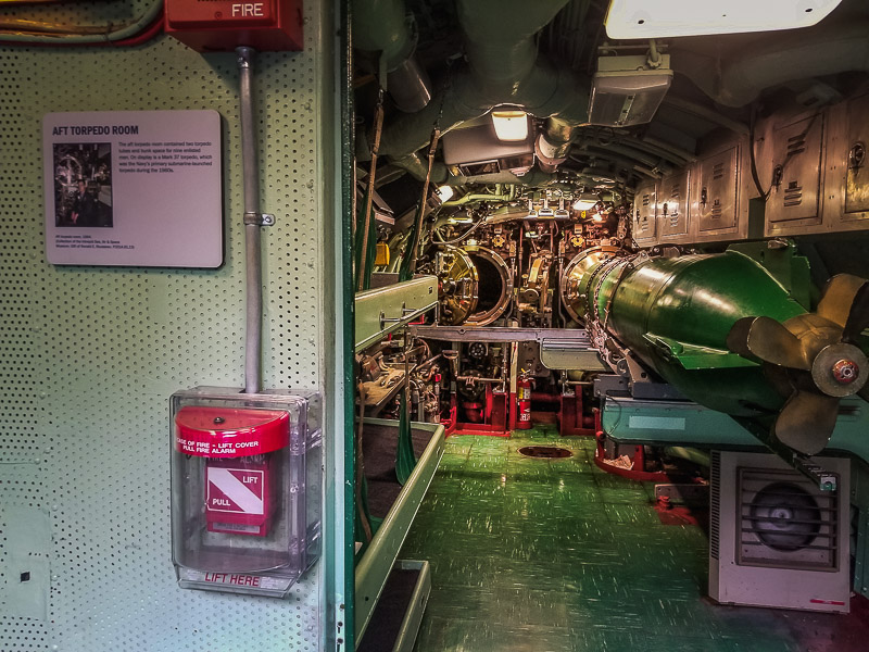 The torpedo room