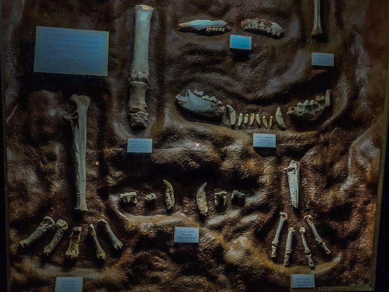 Several artifacts of bone remains